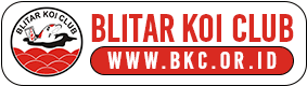 BLITAR KOI CLUB